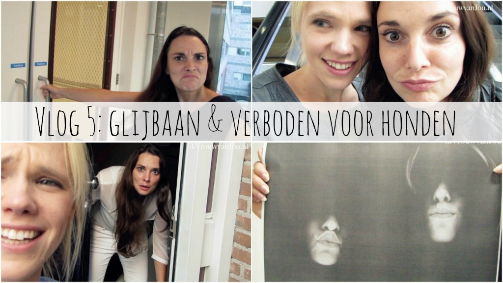 vlog glijbaan verboden voor honden