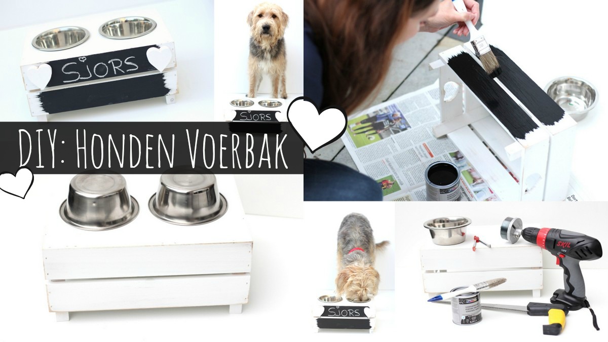 diy honden voerbak