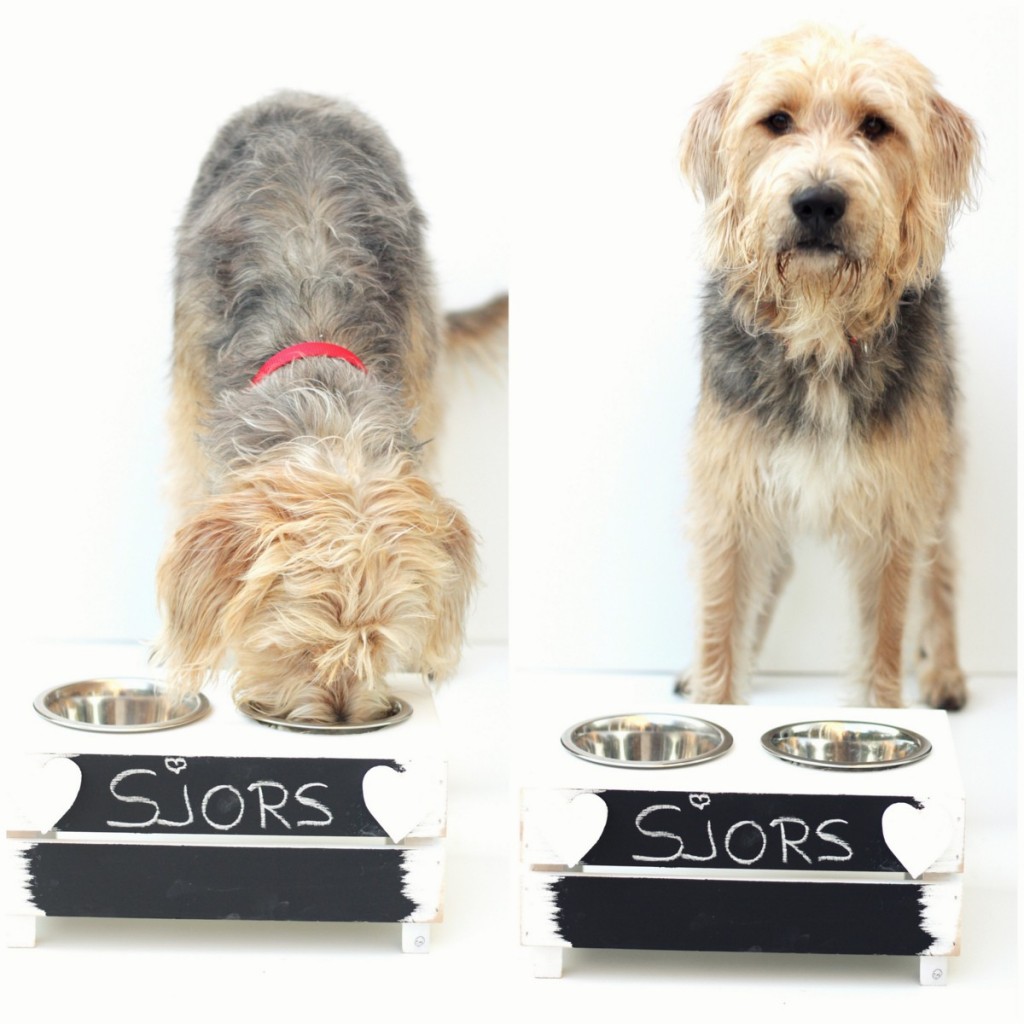 DIY honden voerbak