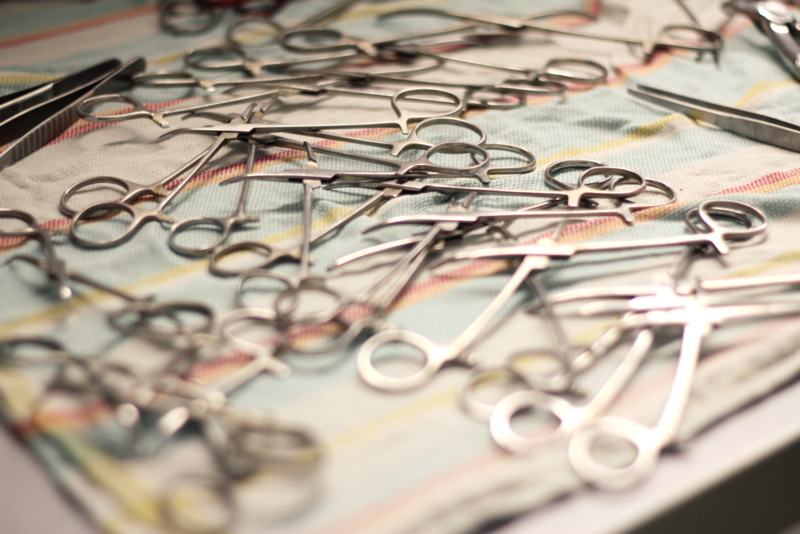 Dierenartsassistente Joyce Everink