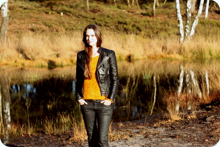 dwaze donor dagen scarlet