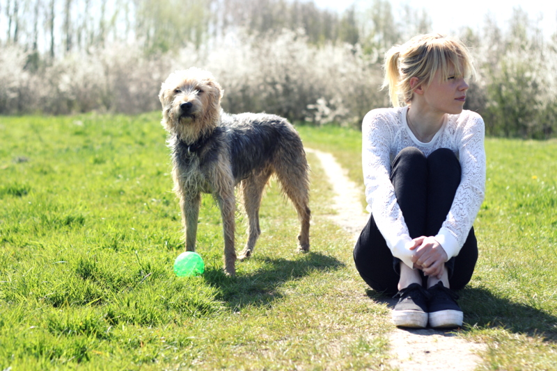 ik kan niet kiezen scarlet sjors