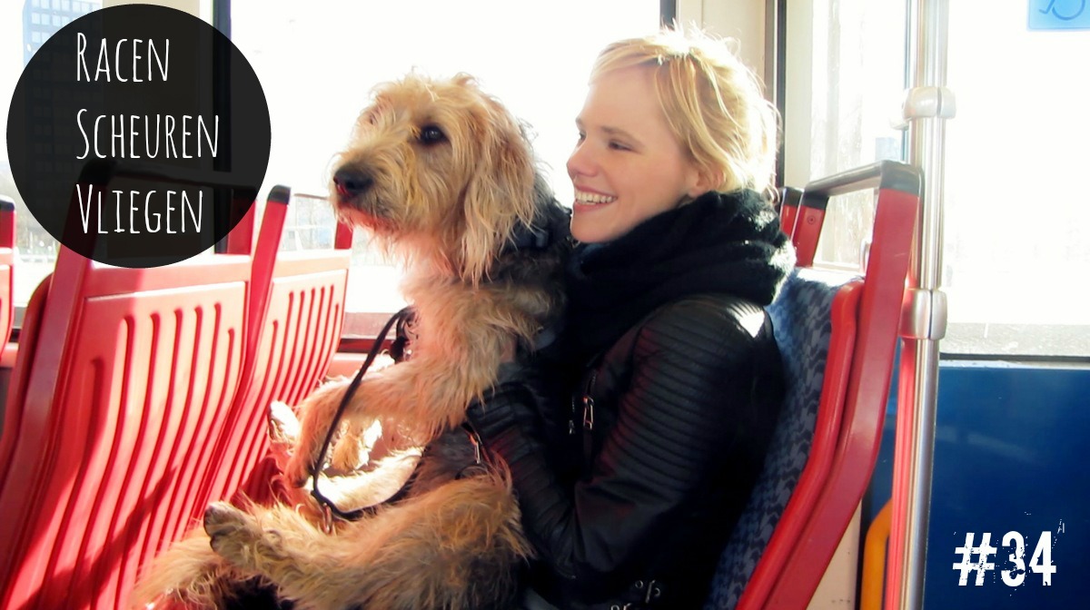 racen scheuren vliegen