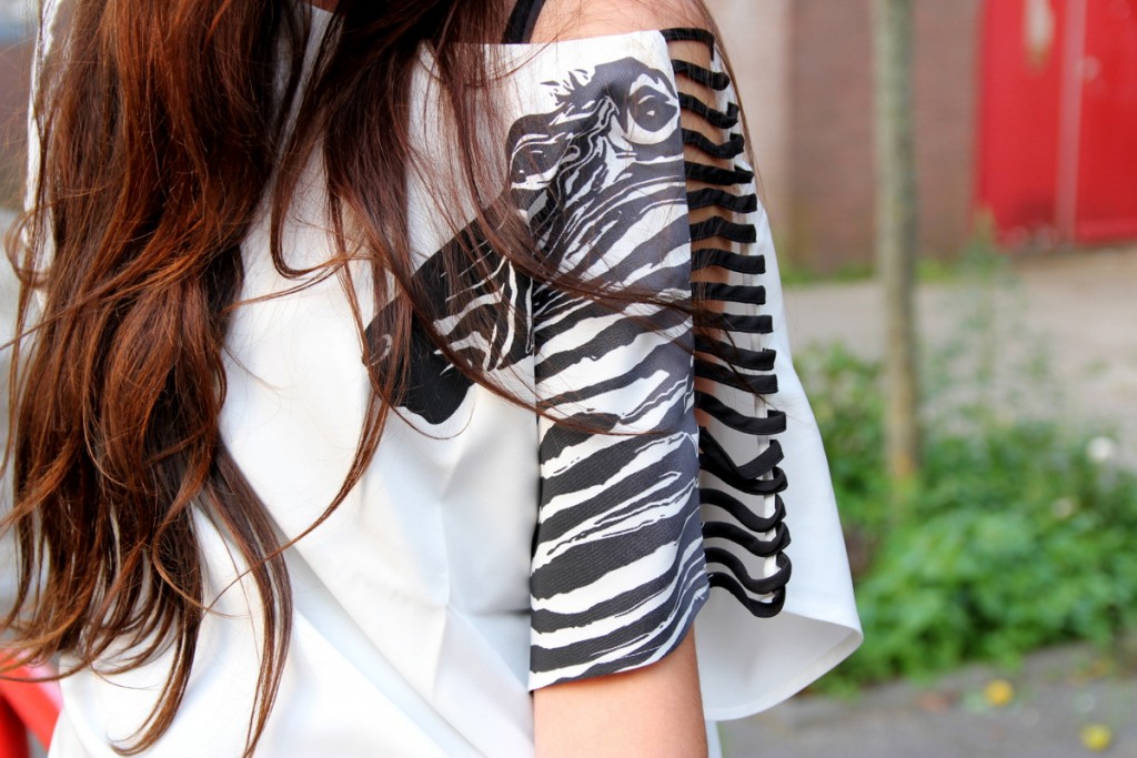 zebra potje shoppen outfit romwe