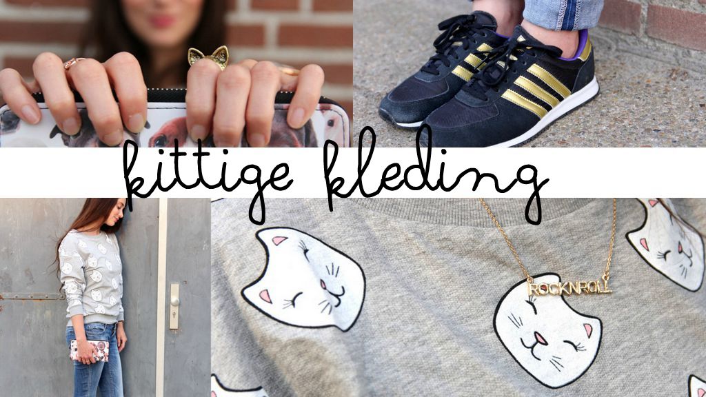 kittige kleding poezen trui H&M adidas oh so hip Joyce everink
