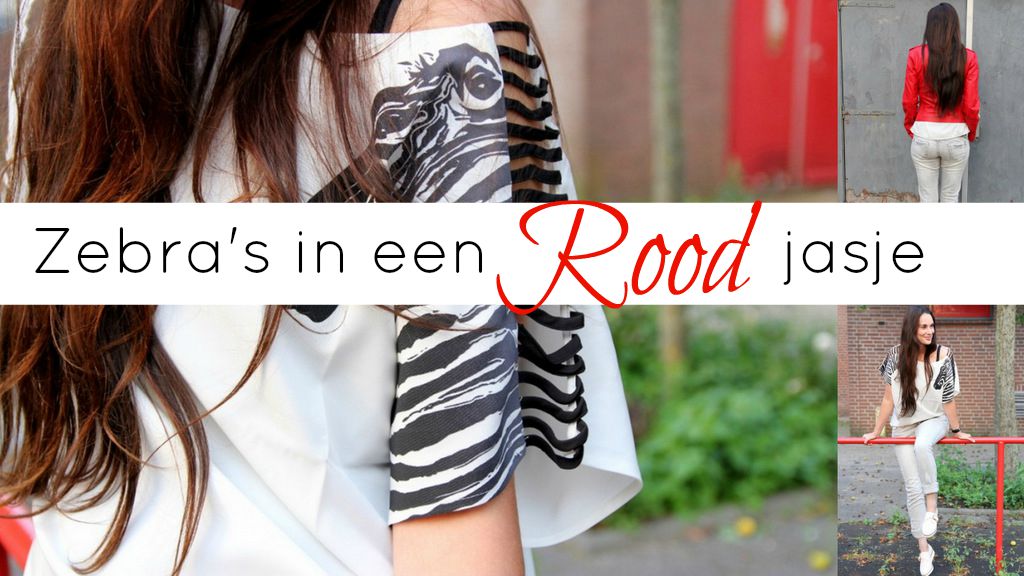 zebra's in een rood jasje