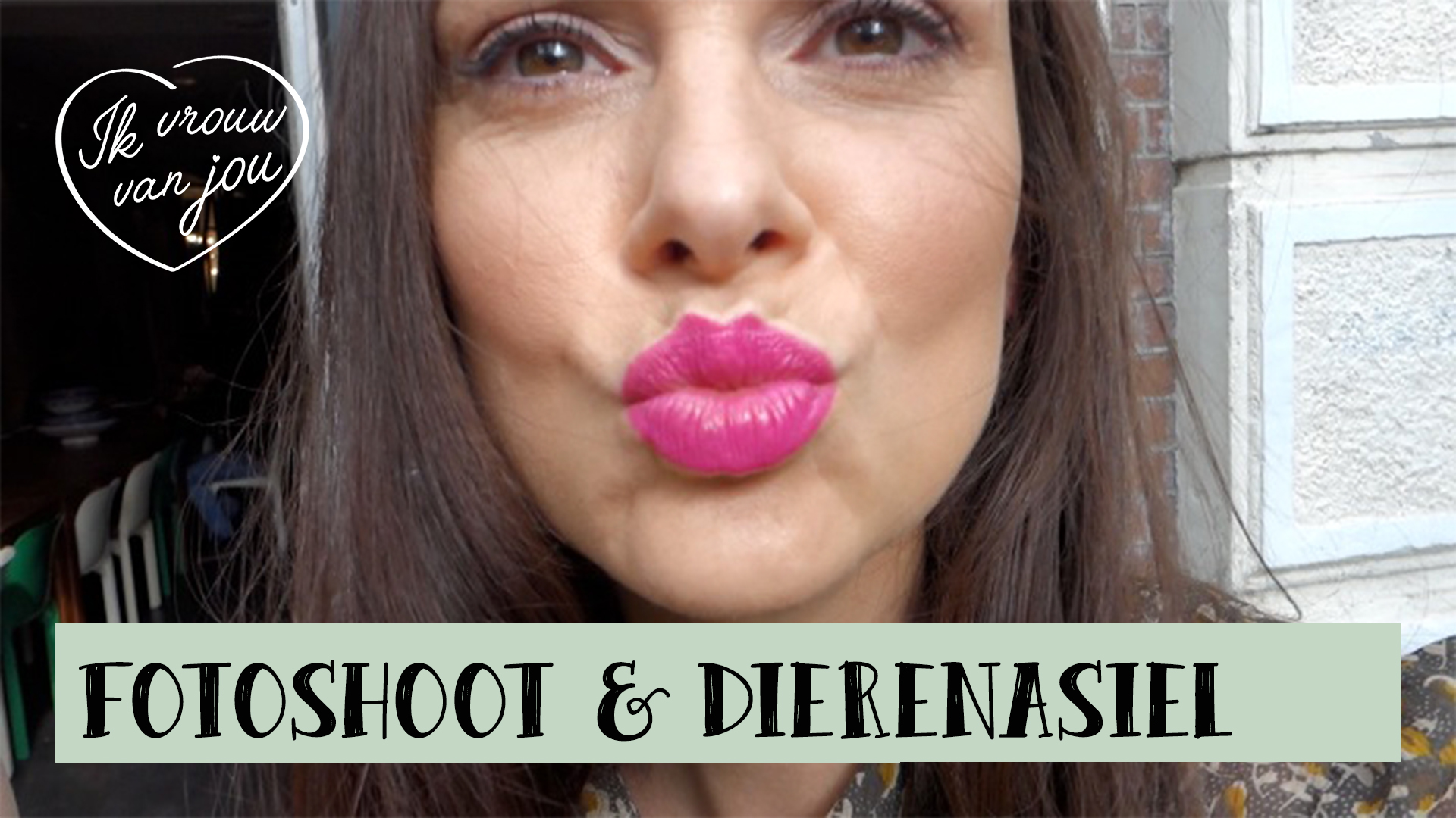 dierenasiel fotoshoot