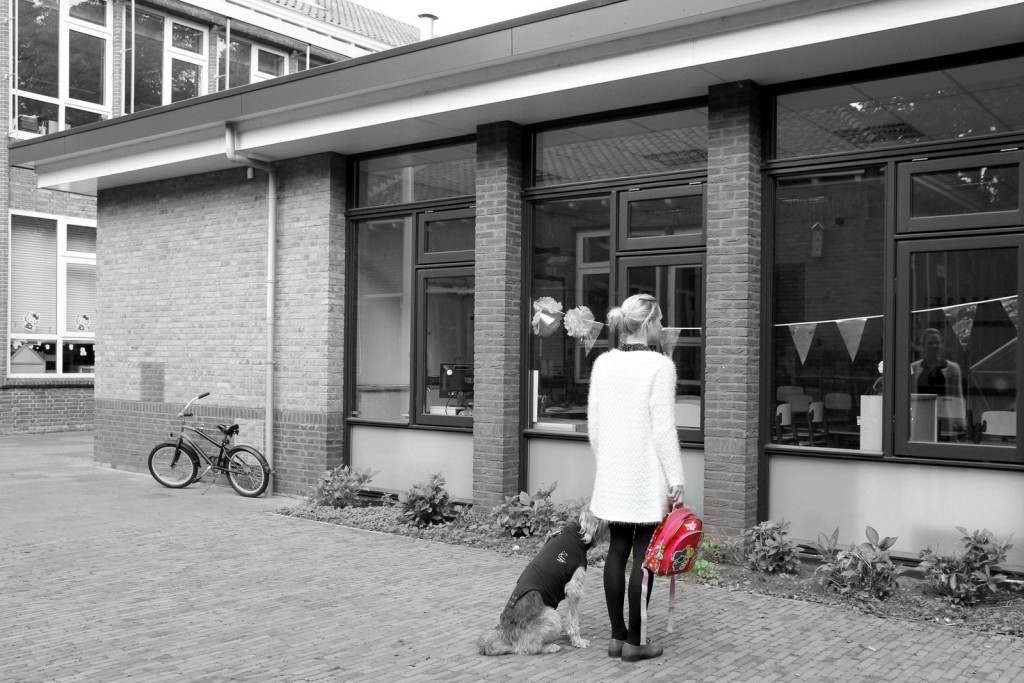 een hond is geen kind