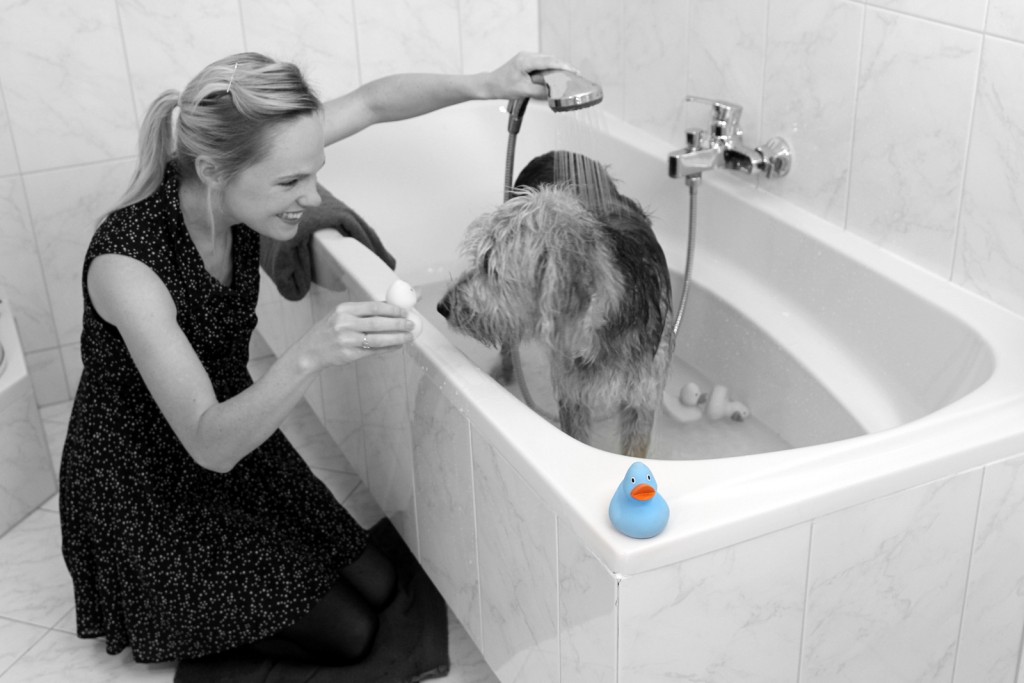 een hond is geen kind