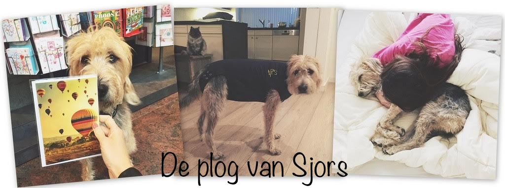 plog van Sjors