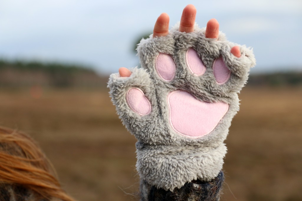 eBay aankopen handschoenen beren poten klauwen grappig
