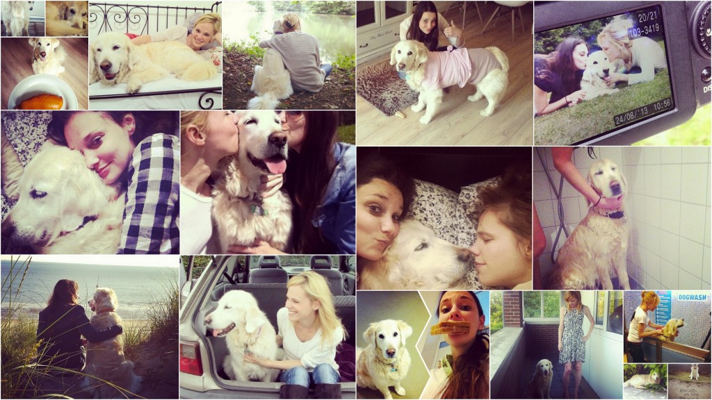 joyce en scarlet liefde overwint