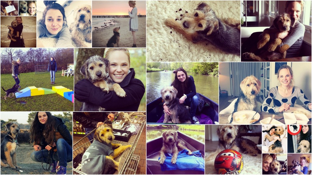 joyce en scarlet liefde overwint