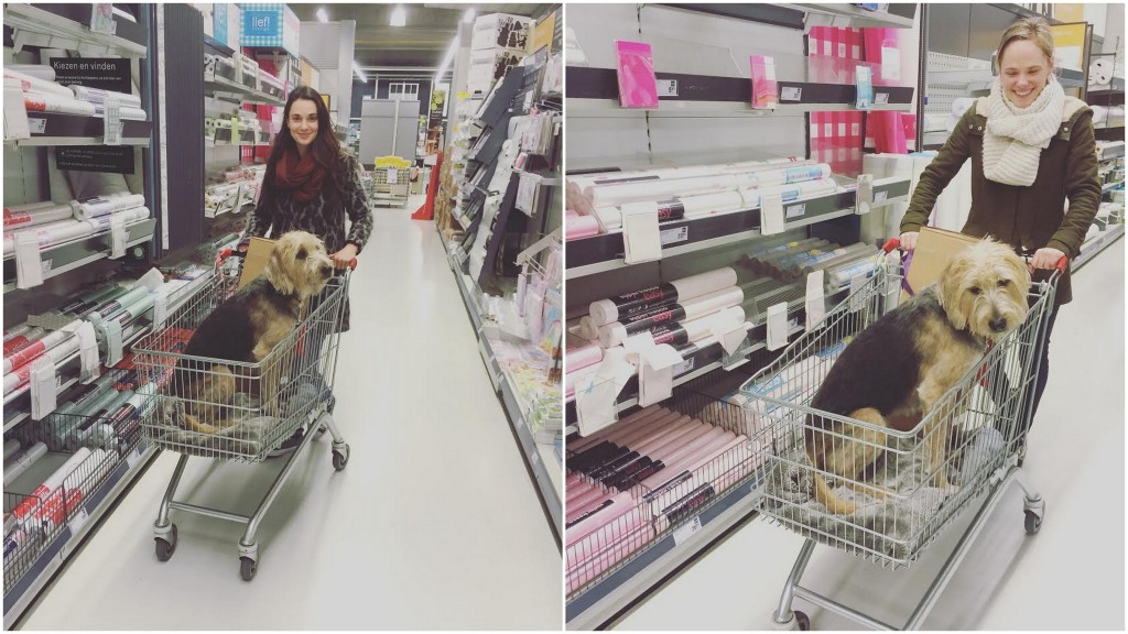 Potje klussen: decoratief plakhout