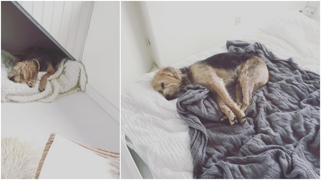 Potje klussen: decoratief plakhout