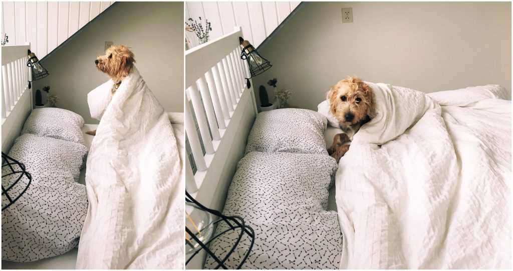 Onze Slaapkamer Geheimen