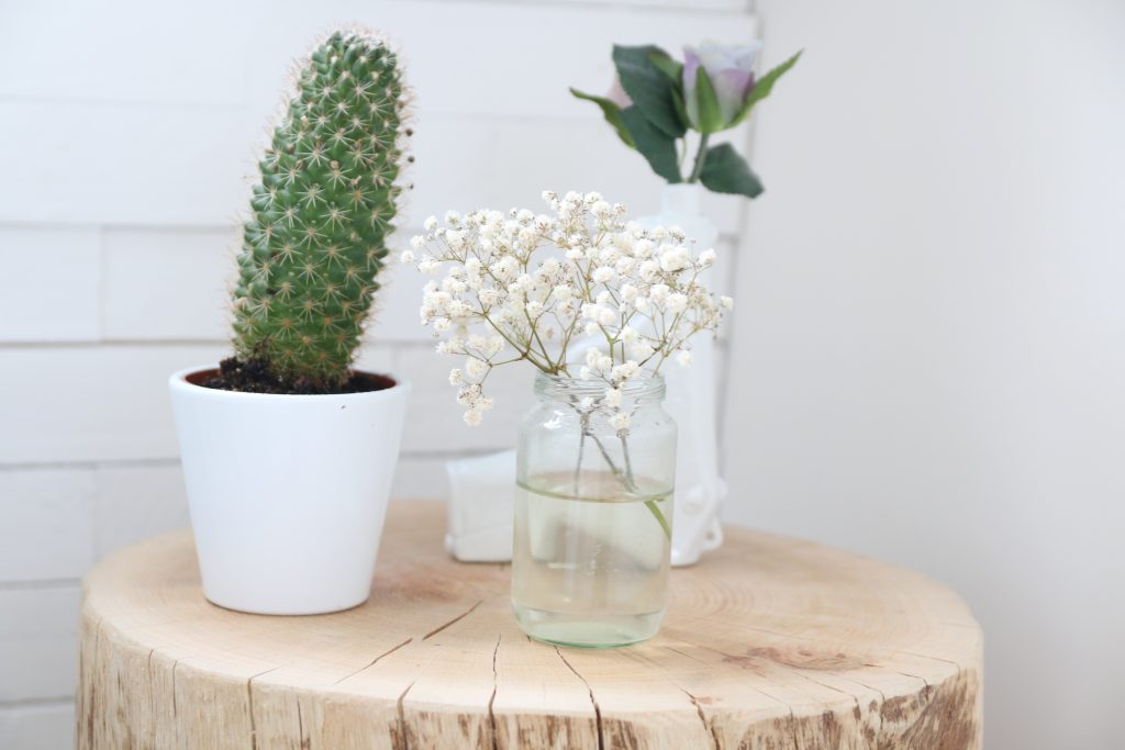 emma matras slaapkamer lesbiennes interieur