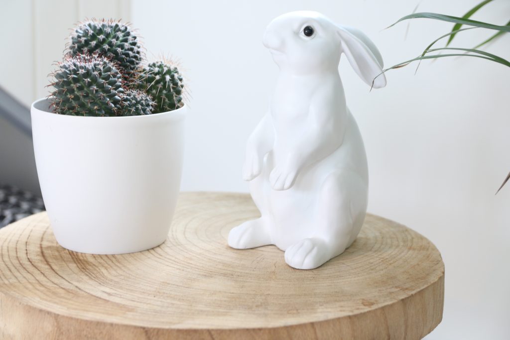 emma matras slaapkamer lesbiennes interieur