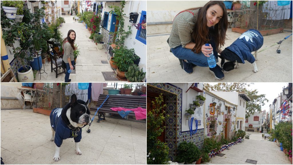 valencia persreis benidorm alicante