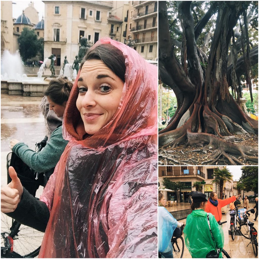 valencia persreis benidorm alicante