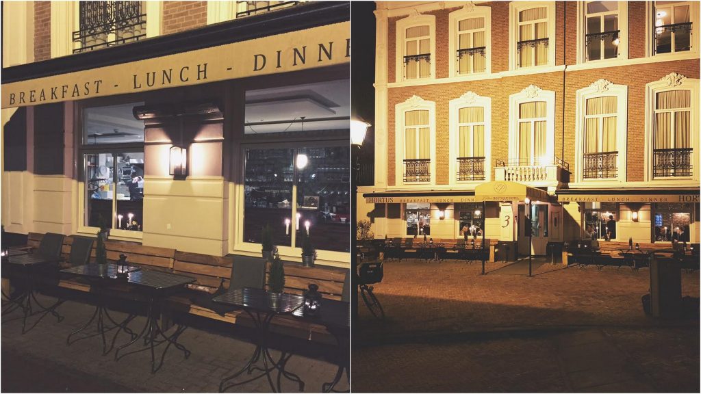 vegetarisch eten in den haag