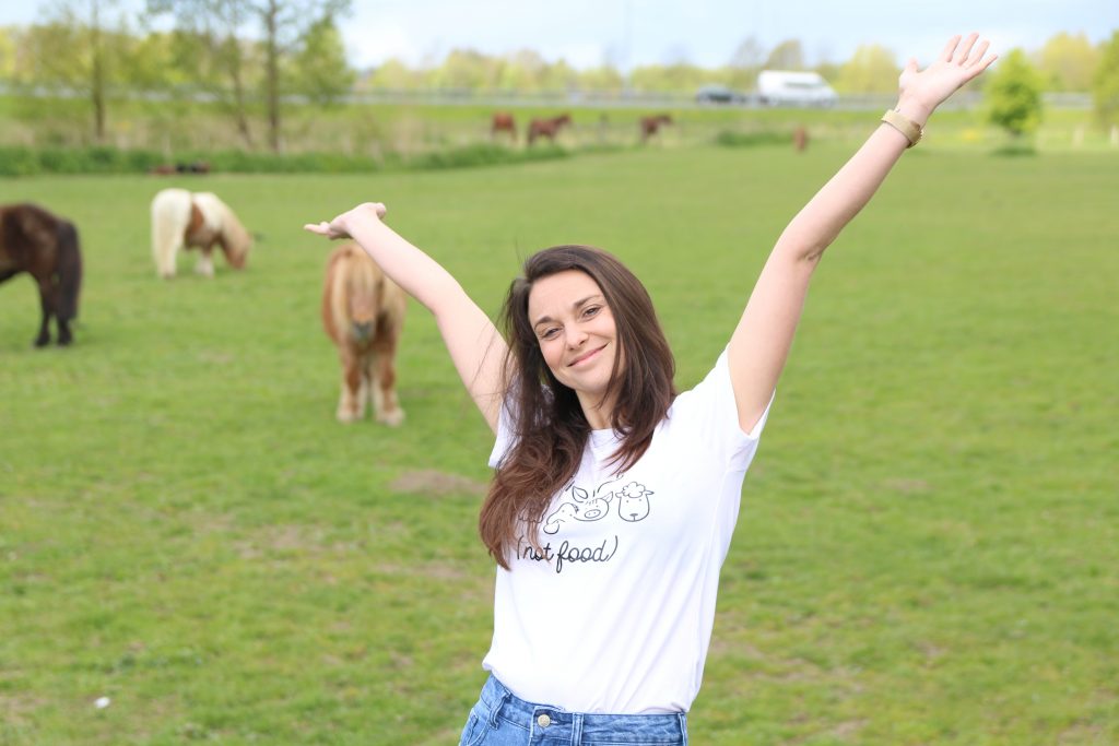 Yankees Style, strikken & Friends not Food romwe