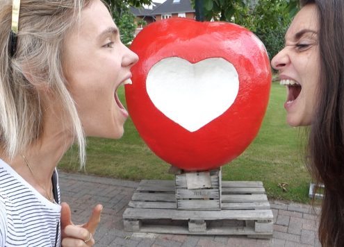 tanden gebit weetjes bekentenissen