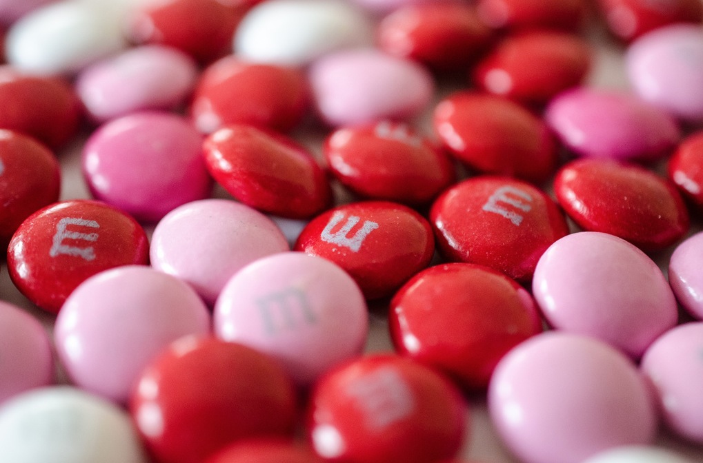 producten waar dier in zit