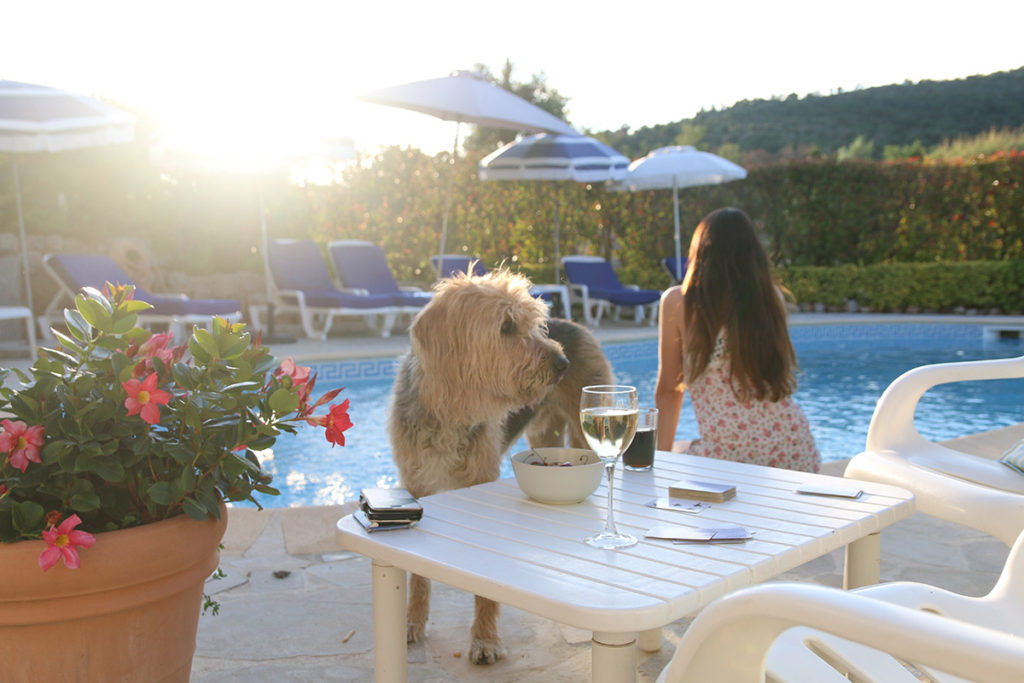 vroeger les issambres belvilla hond frankrijk