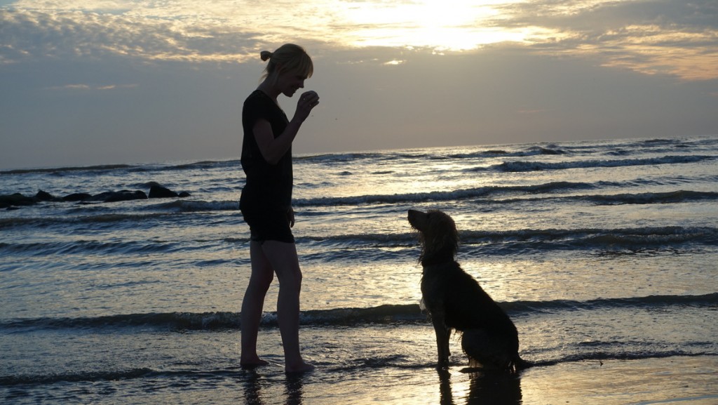 strand sony rx100 III