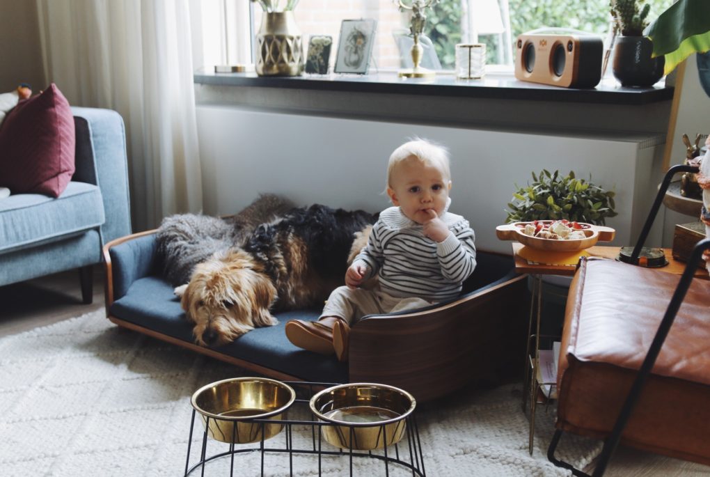 Veilig gehecht, eenkennig, kinderopvang of oppas aan huis?