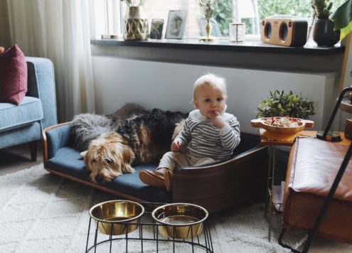 Veilig gehecht, eenkennig, kinderopvang of oppas aan huis?