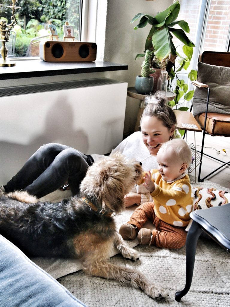 Veilig gehecht, eenkennig, kinderopvang of oppas aan huis?