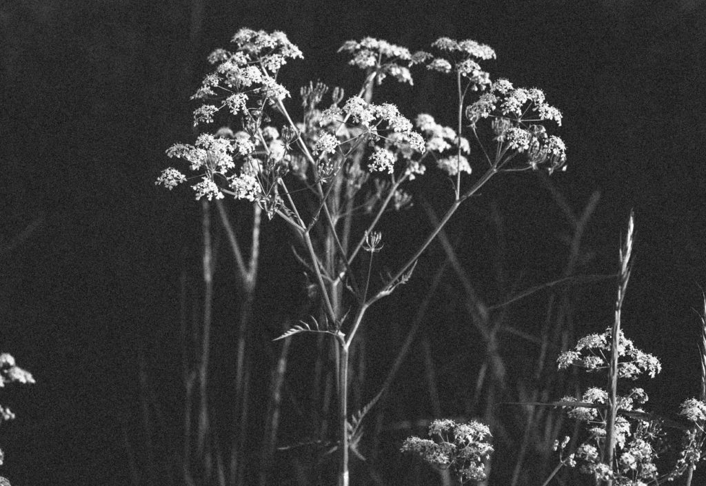 Een fertiliteitstraject: als zwanger worden niet lukt