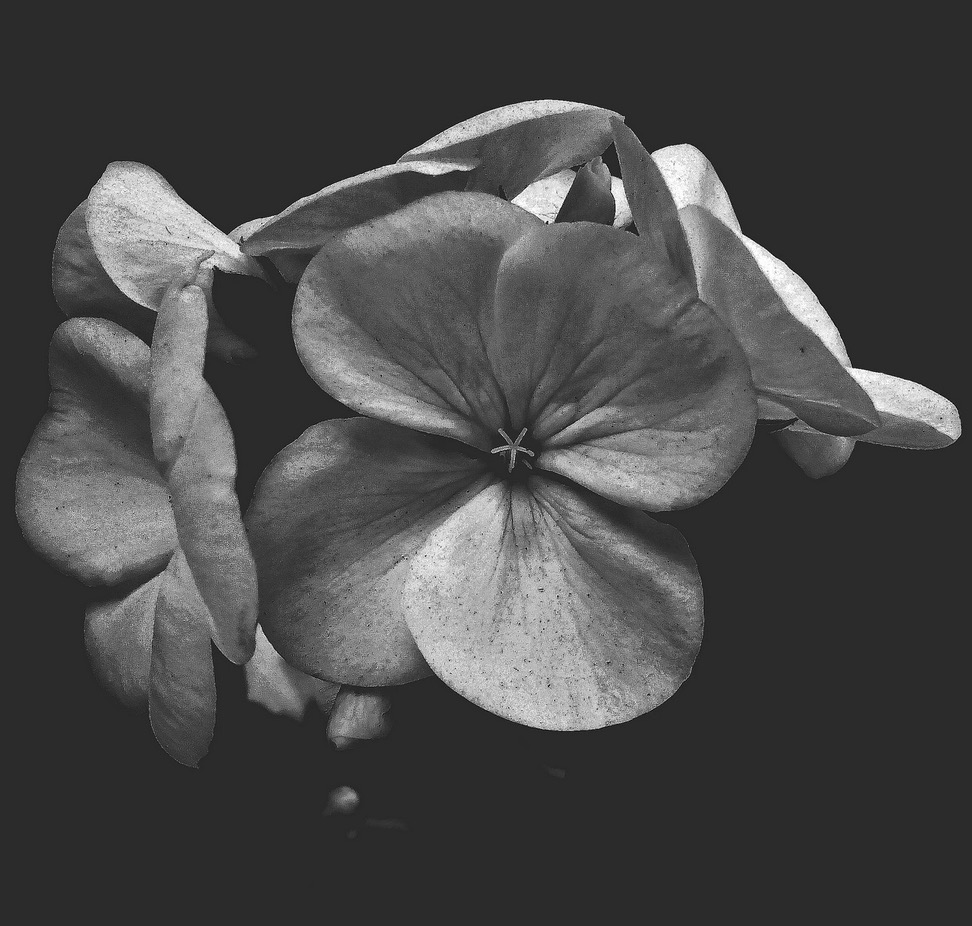 Een fertiliteitstraject: als zwanger worden niet lukt