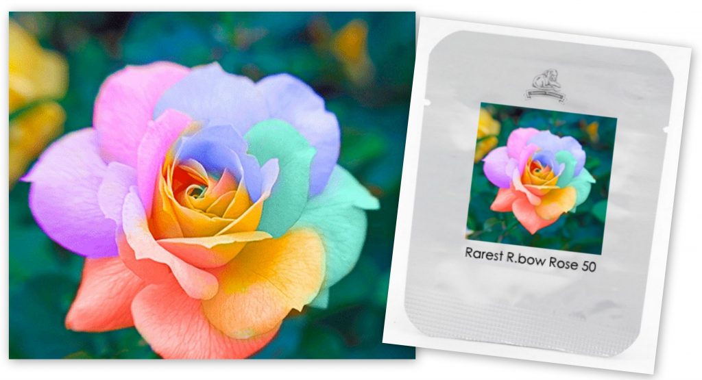 regenboog zaden rozen