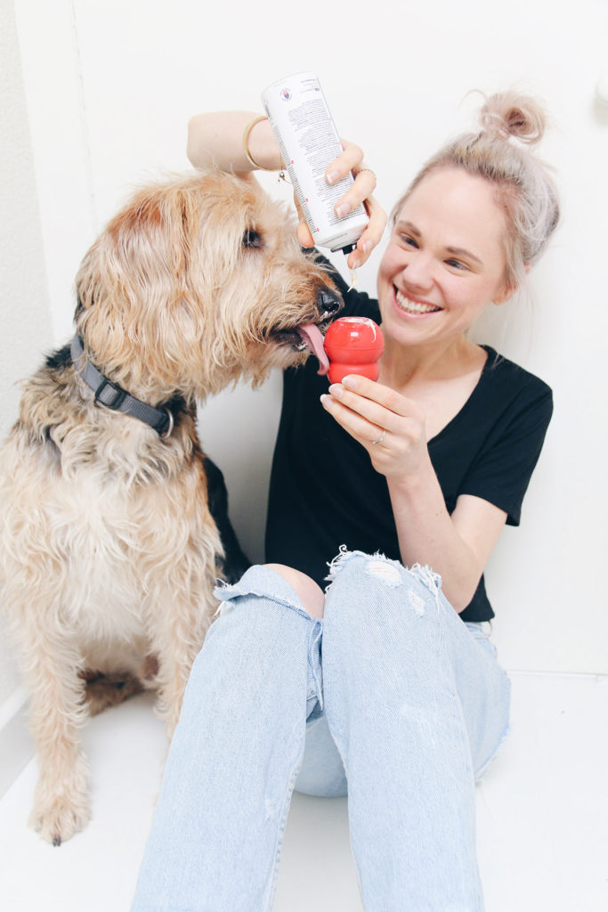 Dingen die we doen die onze hond niet leuk vindt