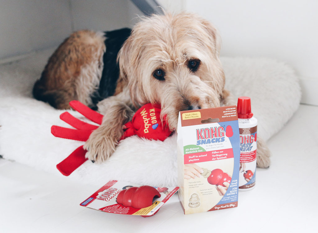 Dingen die we doen die onze hond niet leuk vindt