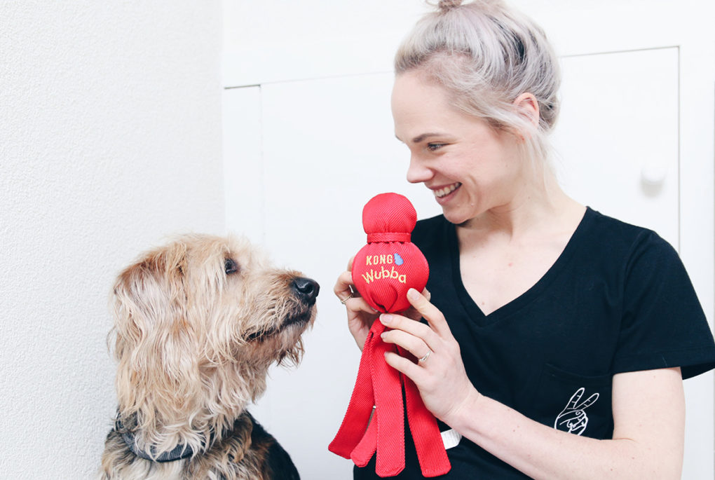 Dingen die we doen die onze hond niet leuk vindt