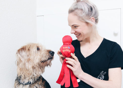 Dingen die we doen die onze hond niet leuk vindt