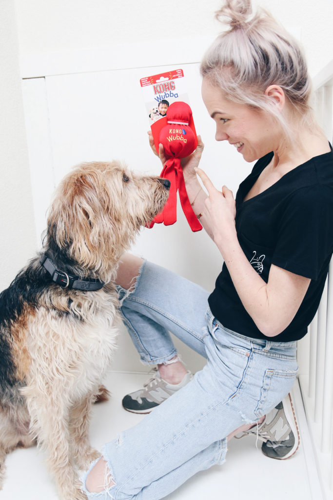 Dingen die we doen die onze hond niet leuk vindt