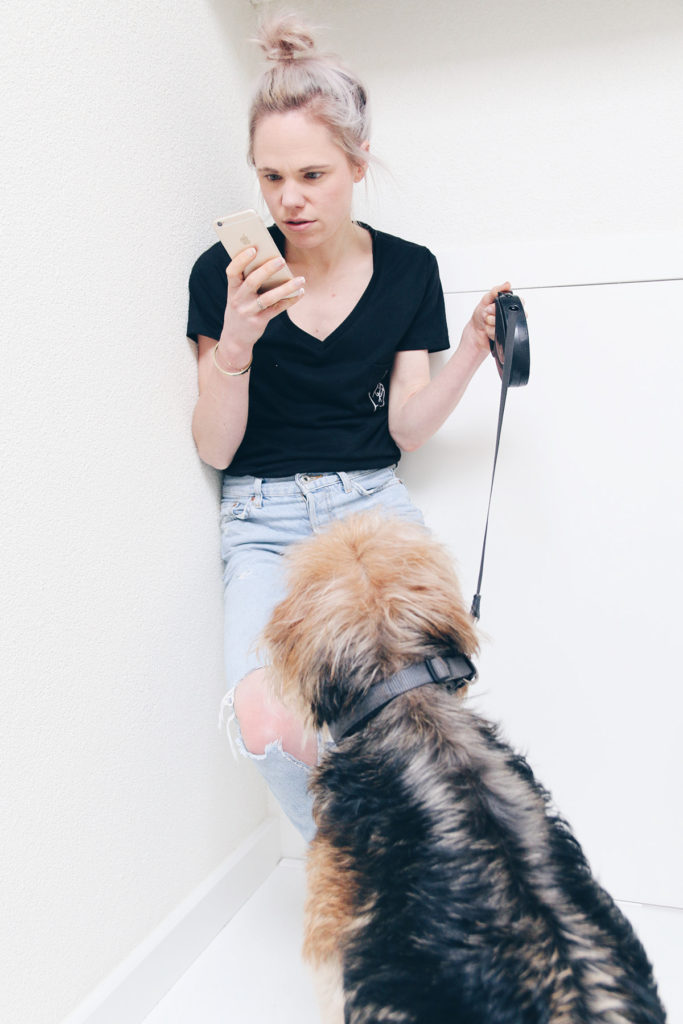 Dingen die we doen die onze hond niet leuk vindt