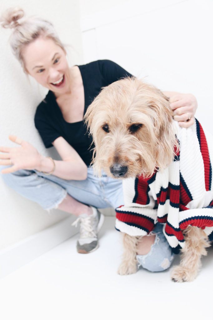 Dingen die we doen die onze hond niet leuk vindt