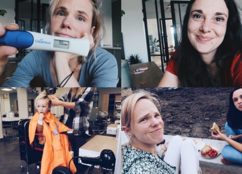 Nieuwe baan, tuin aanleg en behangen